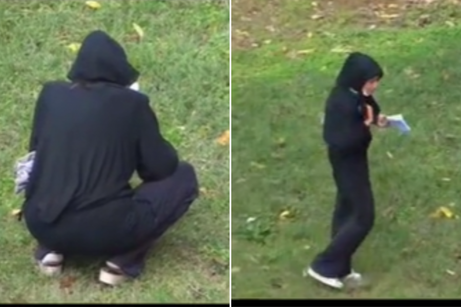 PARK STRAVE I UŽASA NA BALKANU: Uhvaćena žena u CRNOM kako obavlja "RITUAL" koji podseća na CRNU MAGIJU, scena ledi krv u žilama (VIDEO)