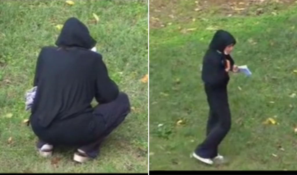 PARK STRAVE I UŽASA NA BALKANU: Uhvaćena žena u CRNOM kako obavlja "RITUAL" koji podseća na CRNU MAGIJU, scena ledi krv u žilama (VIDEO)