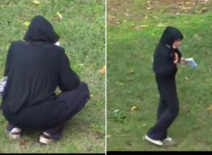 PARK STRAVE I UŽASA NA BALKANU: Uhvaćena žena u CRNOM kako obavlja "RITUAL" koji podseća na CRNU MAGIJU, scena ledi krv u žilama (VIDEO)