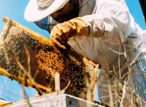 Moj zet je naglo počeo da gubi kilograme: Doktori su mislili da ima rak, a istina je bila još gora