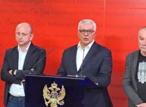 DF NEĆE KOD MILA: Bez Demokratskog fronta na razgovorima oko mandatara