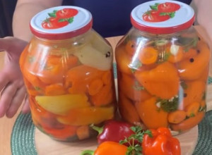Sitne PAPRIKE sa ŠARGAREPOM i peršunom: Napravite zimnicu BEZ KONZERVANSA, omiljeni recept među domaćicama
