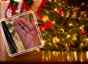 Da li znate čemu služi CRVENA sijalica na lampicama za jelku? "Nakon 30 godina ja to sad saznajem, sramota me je"