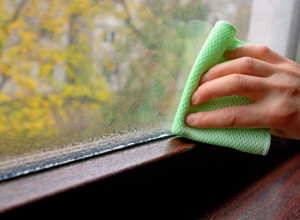 Šta kada se ZIMI na prozorima skupljaju kapljice vode? Sredstvo na koje nikada ne biste pomislili rešiće vas MUKE