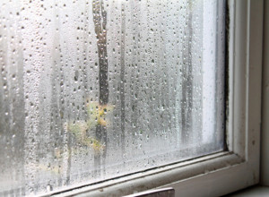 Otarasite se zauvek vlage na prozorima : Ovaj sastojak jednim potezom briše kapljice na staklu