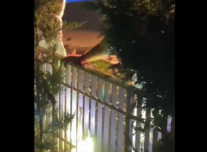 (VIDEO) KAVČANI UBIJALI I ŽENE? U dvorištu vile Željka Bojanića u Istanbulu policija iskopala tri ženska tela