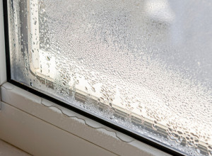 Uz jednostavan TRIK rešite se VLAGE na prozorima: Domaćice će biti ODUŠEVLJENE jer je JEFTINO a rešava problem!