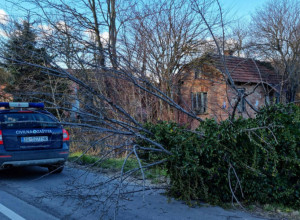 RAZORNI VETAR U HRVATSKOJ PODIGAO ŠUPU I NOSIO JE 7 METARA PRE NEGO ŠTO JE PALA NA ŠTALU: Vlasnici nemo posmatrali sve! (FOTO)