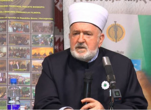 RAKOVIĆ: Mustafa Cerić uneo SRBOFOBIJU u Islamsku zajednicu BiH