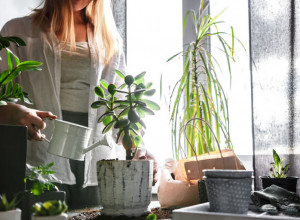 Stavite ove ljuske u vodu: Najbolja prihrana od koje biljke bujaju tokom cele godine