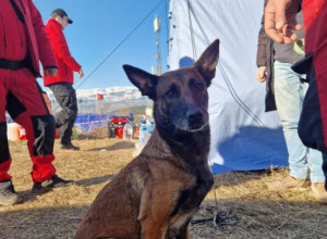 DEVOJČICU PRONAŠLA PORED TELA STRADALE MAJKE: Najradosniji trenutak spasilačkog tima Srpske, pas Tora spasla još jedan život (FOTO)