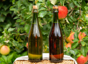 Alkoholno ili jabukovo sirće? Da li znate koje su glavne razlike i koje je bolje za čišćenje?