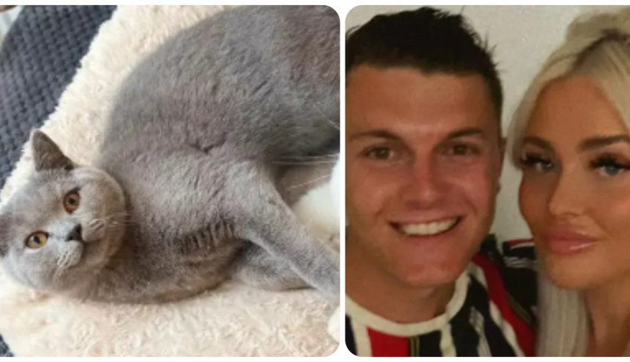 Hani i njenom mužu su mačke kao rođena deca: Ne samo što imaju svoju sobu, kupili su im i bračni krevet