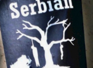 U VINKOVCIMA OSTKRAVLJEN SRPSKI KRST: Javno podsticanje na nasilje i mržnju prema Srbima
