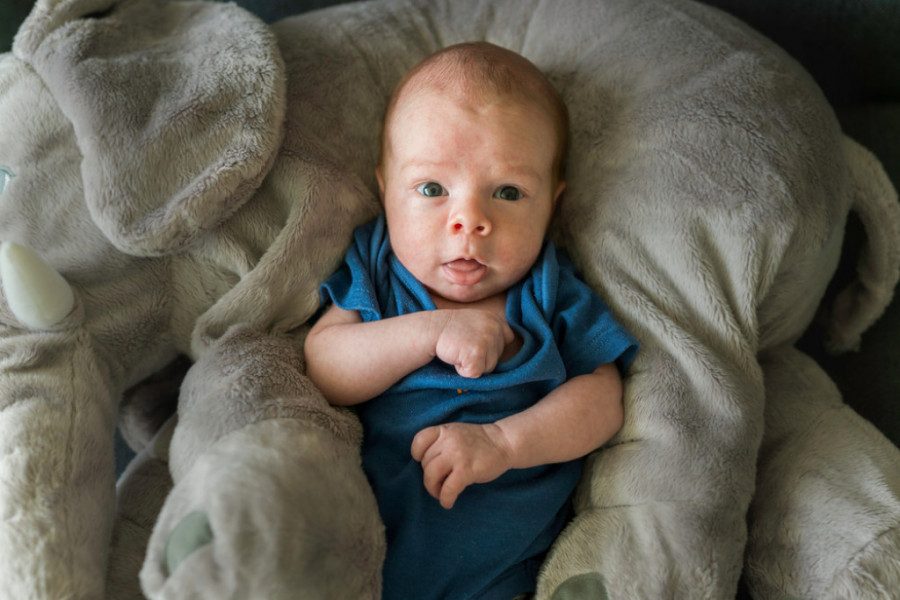 Sasvim obično fotografisanje bebe se pretvorilo u pravi PAKAO: Na slikama su OVO ugledali i oduzeli se od JEZE i straha!