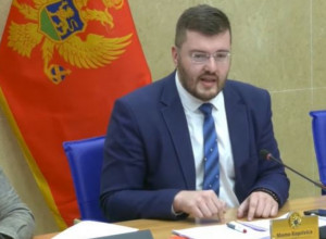 MOMO KOPRIVICA: "Juče smo udarili u osinje gnezdo, prošlo je vreme organizovanog javnog laganja"