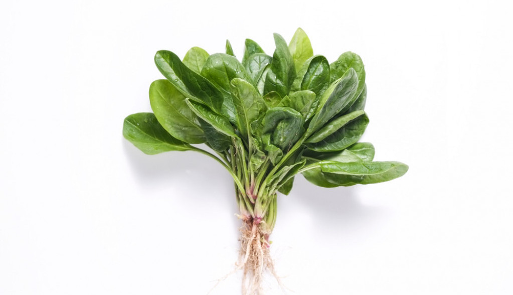 Kad jedete zelje u vašem organizmu događaju se tri sjajne stvari: Ukusna zelena liska za fantastično zdravlje!