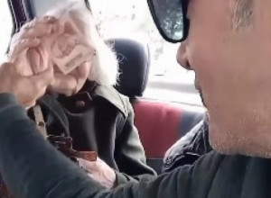 BUDIMO MILORAD, A NE SECIKESE O potezu ovog taksiste priča cela Srbija i Jelena Đoković je podelila snimak