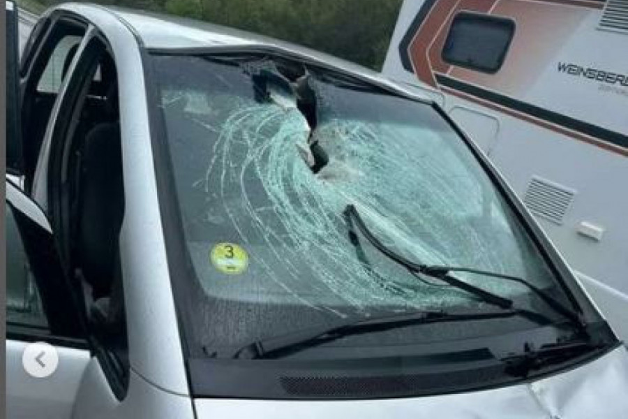 VOZAČU IZ HRVATSKE JELEN UPAO KROZ ŠOFERKU: Nesvakidašnja saobraćajka usred noći kod Daruvara OGROMNA ŽIVOTINJA PROLETELA KO METAK
