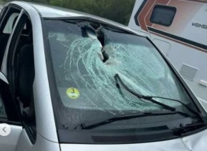 VOZAČU IZ HRVATSKE JELEN UPAO KROZ ŠOFERKU: Nesvakidašnja saobraćajka usred noći kod Daruvara OGROMNA ŽIVOTINJA PROLETELA KO METAK