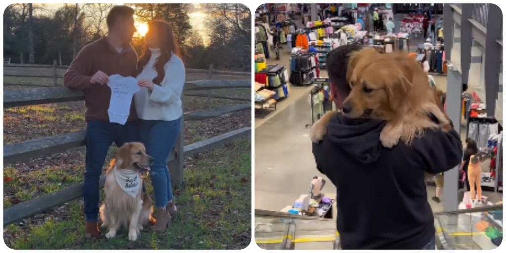 Bez PSA ne idu nigde: Ovaj par tvrdi da zlatni retriver učestvuje u svim njihovim aktivnostima, a čak im je izabrao i ime za dete