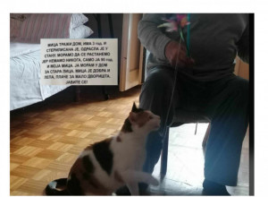 Pronašli smo deku iz Zemuna čiji je oglas rasplakao Srbiju: "Sve sam ovo uradio zbog pokojne supruge"