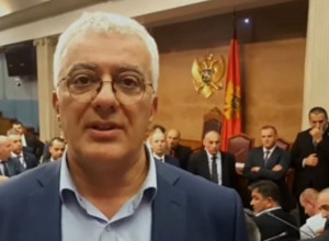 MANDIĆ: "Najoštrije osuđujem bahatost Aljbina Kurtija i njegovih batinaša lažne države Kosovo"