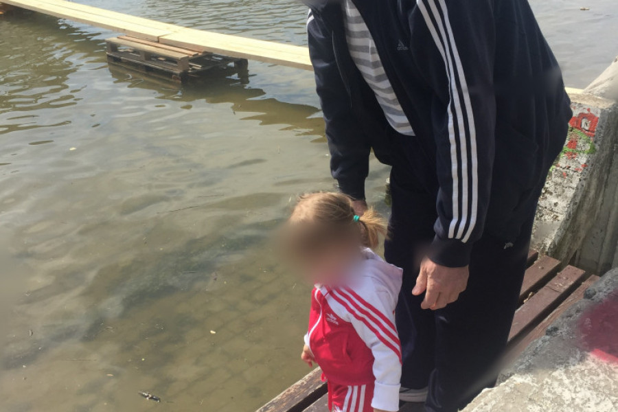 Al Paćino (83) čeka dete: Dragan iz Beograda je sa 62. dobio ćerku i evo kako izgleda kada ljudi misle da joj je deda