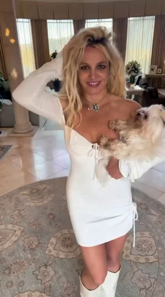 Britni Spirs se rešila još jedne muke: Nakon što je sin došao da je vidi, usledila je ponovo lepa vest