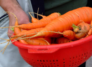 Šargarepa je previše gorka? Moguće je da pravite 1 grešku, vodeći kuvari znaju u čemu je štos