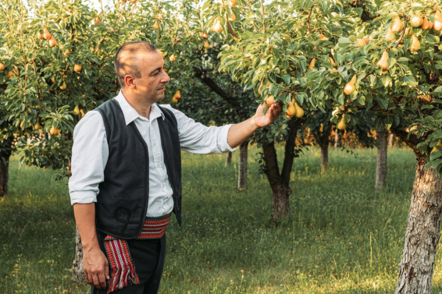 Neverovatna priča Obrada iz Bileće: Ovako je nepismeni Srbin postao jedan od najbogatijih Amerikanaca