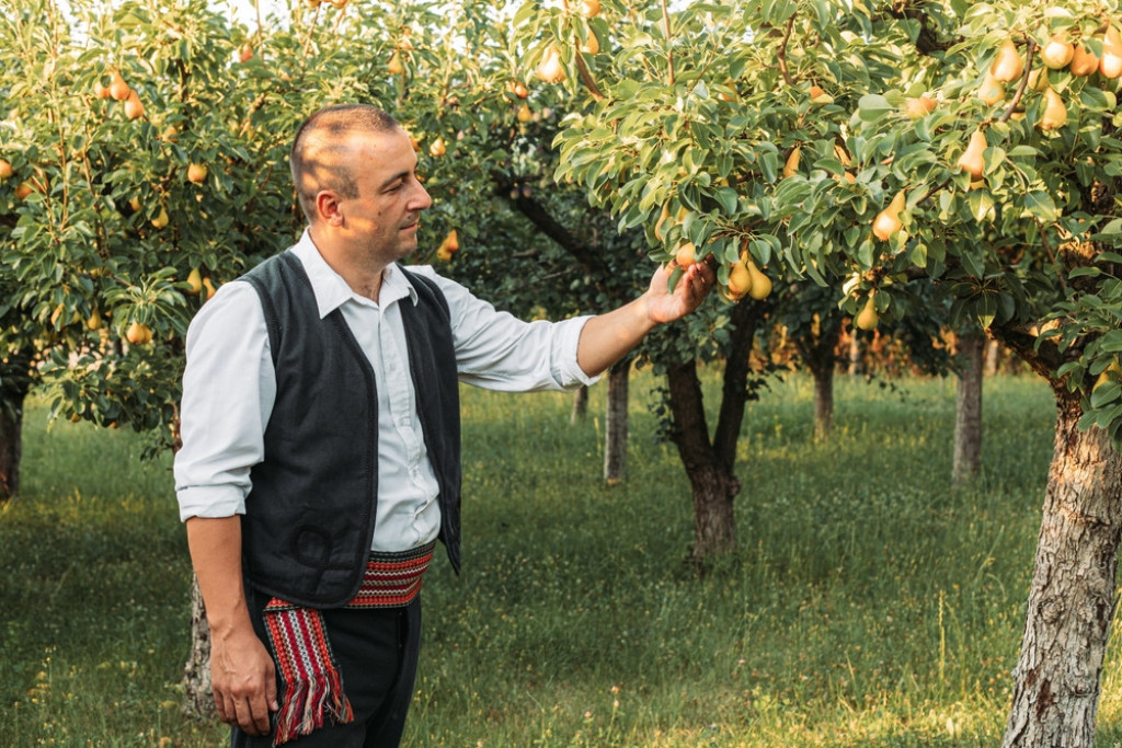 Neverovatna priča Obrada iz Bileće: Ovako je nepismeni Srbin postao jedan od najbogatijih Amerikanaca