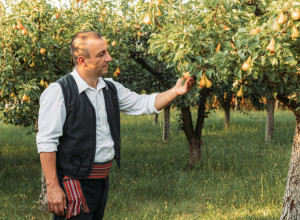Neverovatna priča Obrada iz Bileće: Ovako je nepismeni Srbin postao jedan od najbogatijih Amerikanaca
