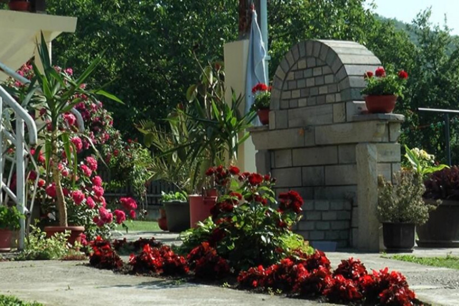 Krpelj ne podnose miris ove 2 biljke: Posadite ih u dvorištu i nikada ih više nećete videti