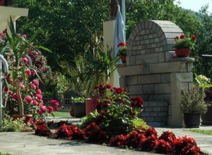 Krpelj ne podnose miris ove 2 biljke: Posadite ih u dvorištu i nikada ih više nećete videti