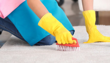 Očistite sve tepihe u kući za 250 dinara: Bez mnogo ribanja i muke izgledaće kao novi!