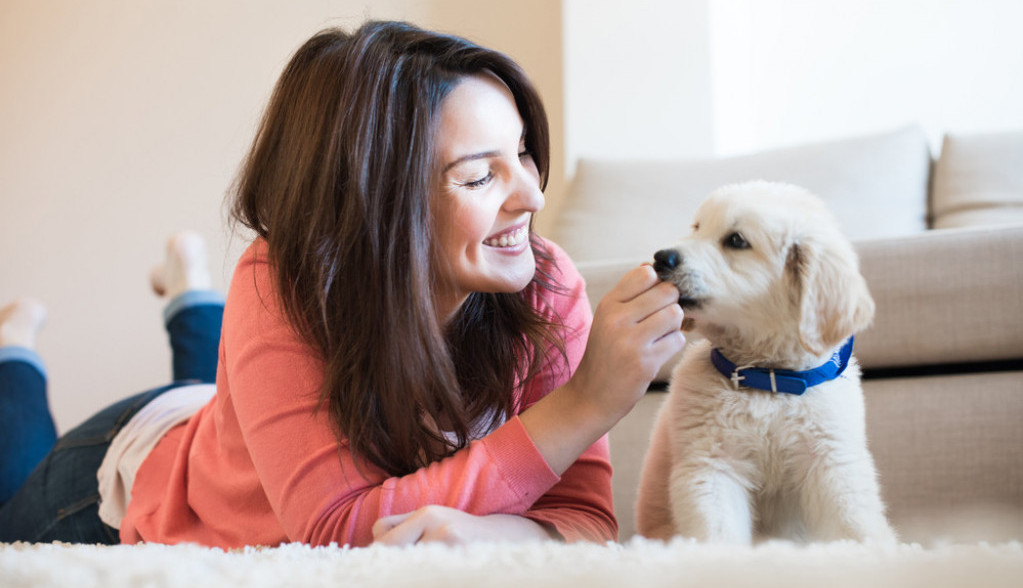 Istraživanje dokazalo: Mi imamo gori uticaj na životinje nego one na nas, a evo i zašto