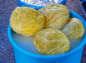 Žuteće se kao zlato i nema šanse da se pokvari: Veoma je važno kada kiselite kupus, idealna je ova spoljna temperatura