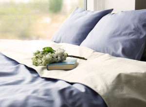 Možete zažaliti zbog boje posteljine: Jedna izaziva noćne more, druga privlači stenice