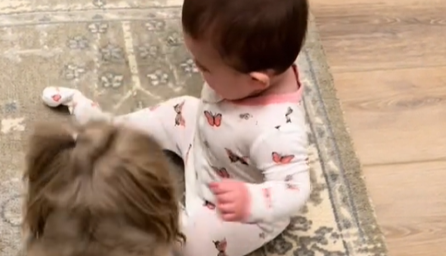 Ovo je nešto najslađe što ćete danas videti: Pas bebi krade dudu, njena reakcija je potpuni hit