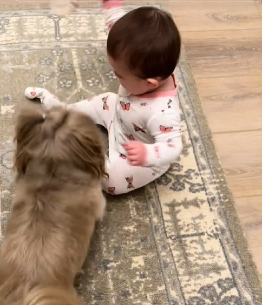 Ovo je nešto najslađe što ćete danas videti: Pas bebi krade dudu, njena reakcija je potpuni hit