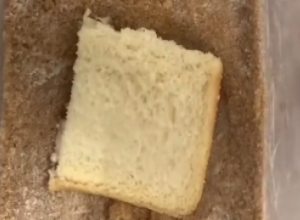 Šta se dešava kada u šećer stavite hleb? Čaroban trik će vam 100 posto olakšati život, tako lako, a tako korisno!