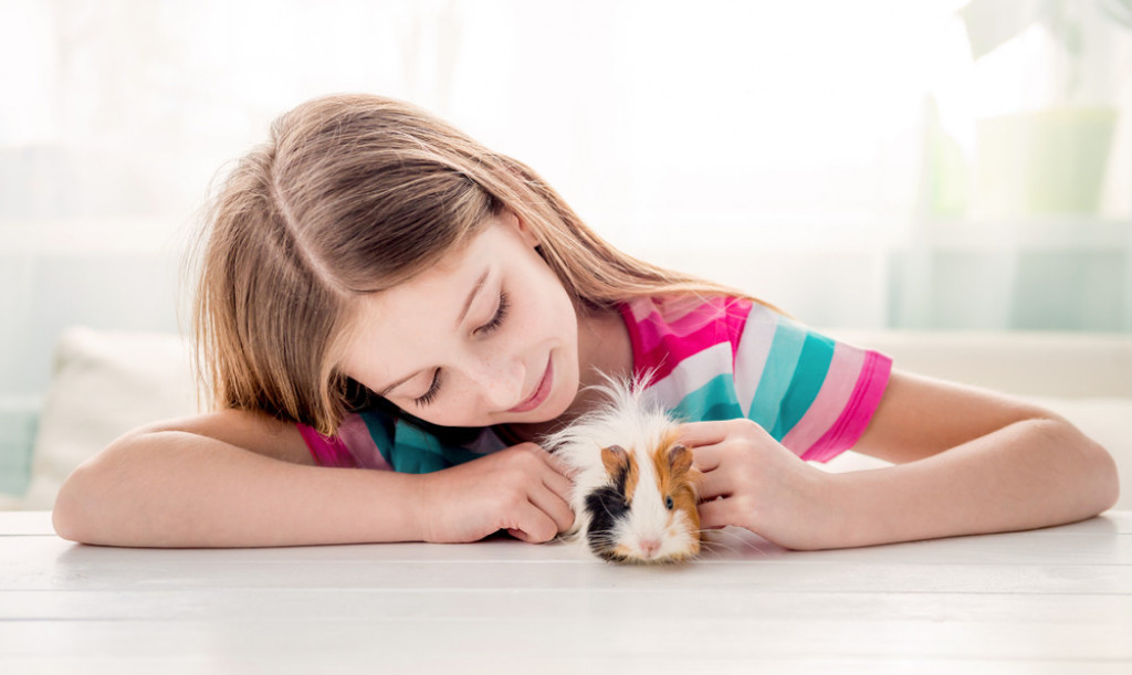 Neobični kućni ljubimci: Jeftini su, odlični za porodice sa decom, a nisu zahtevni kao pas i mačka