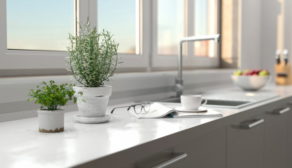 Ova biljka odlična je u nezi kose i kože i divno miriše: Sledite ova pravila da biste pravilno gajili ruzmarin u stanu