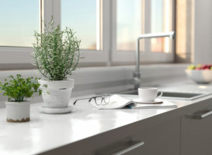 Ova biljka odlična je u nezi kose i kože i divno miriše: Sledite ova pravila da biste pravilno gajili ruzmarin u stanu