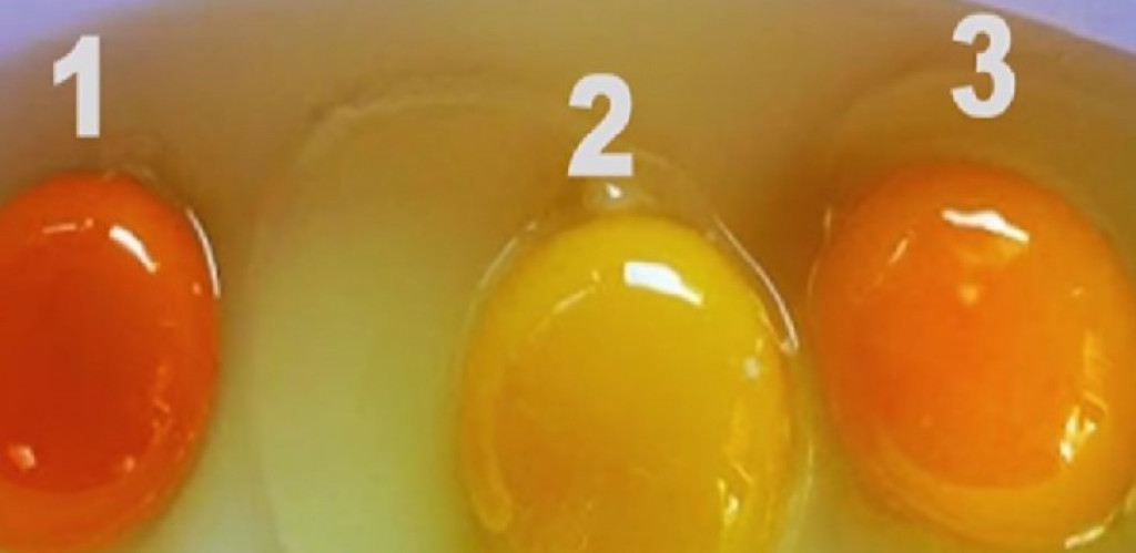 Sve što ste mislili da znate, pada u vodu: Prema boji žumanceta, pogodite koje jaje je najzdravije
