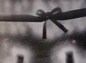 Snežna dekoracija za vaš dom: Potrebne su samo 2 stvari, par ruku, i gotovo je za čas - rezultat će vas zadiviti!