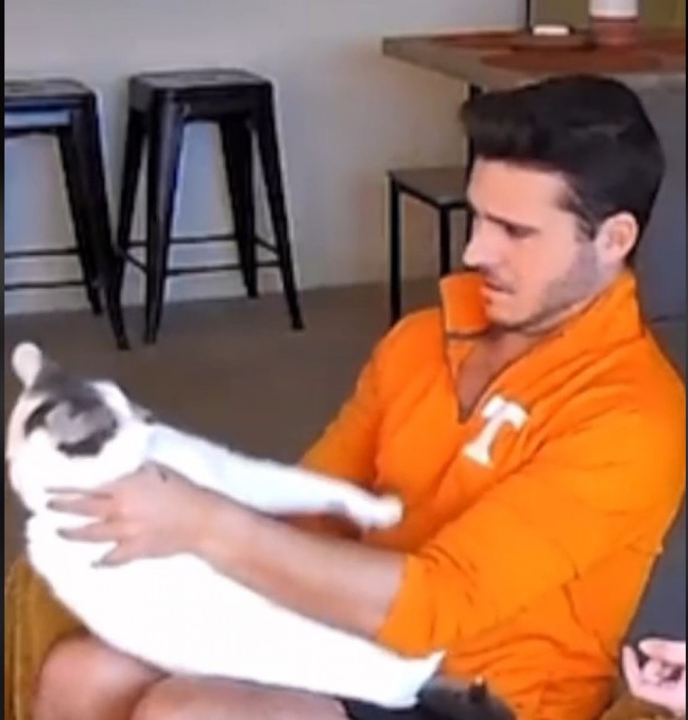 Video koji je nasmejao 90 miliona ljudi: Čovek je uneo u kuću pogrešnog mačka i nastao je haos!