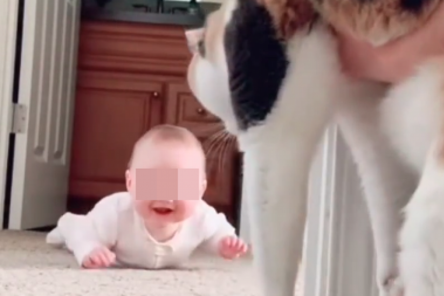 Sitnice život znače: Reakcija ove male radosti je neprocenljiva, pogledajte šta je donelo presladak osmeh na njeno lice!