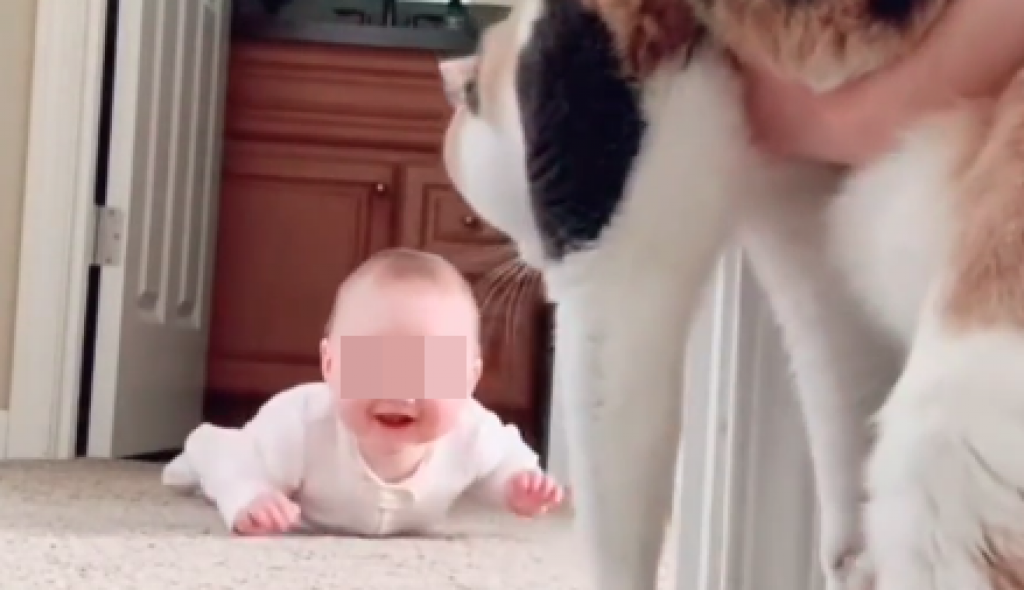 Sitnice život znače: Reakcija ove male radosti je neprocenljiva, pogledajte šta je donelo presladak osmeh na njeno lice!